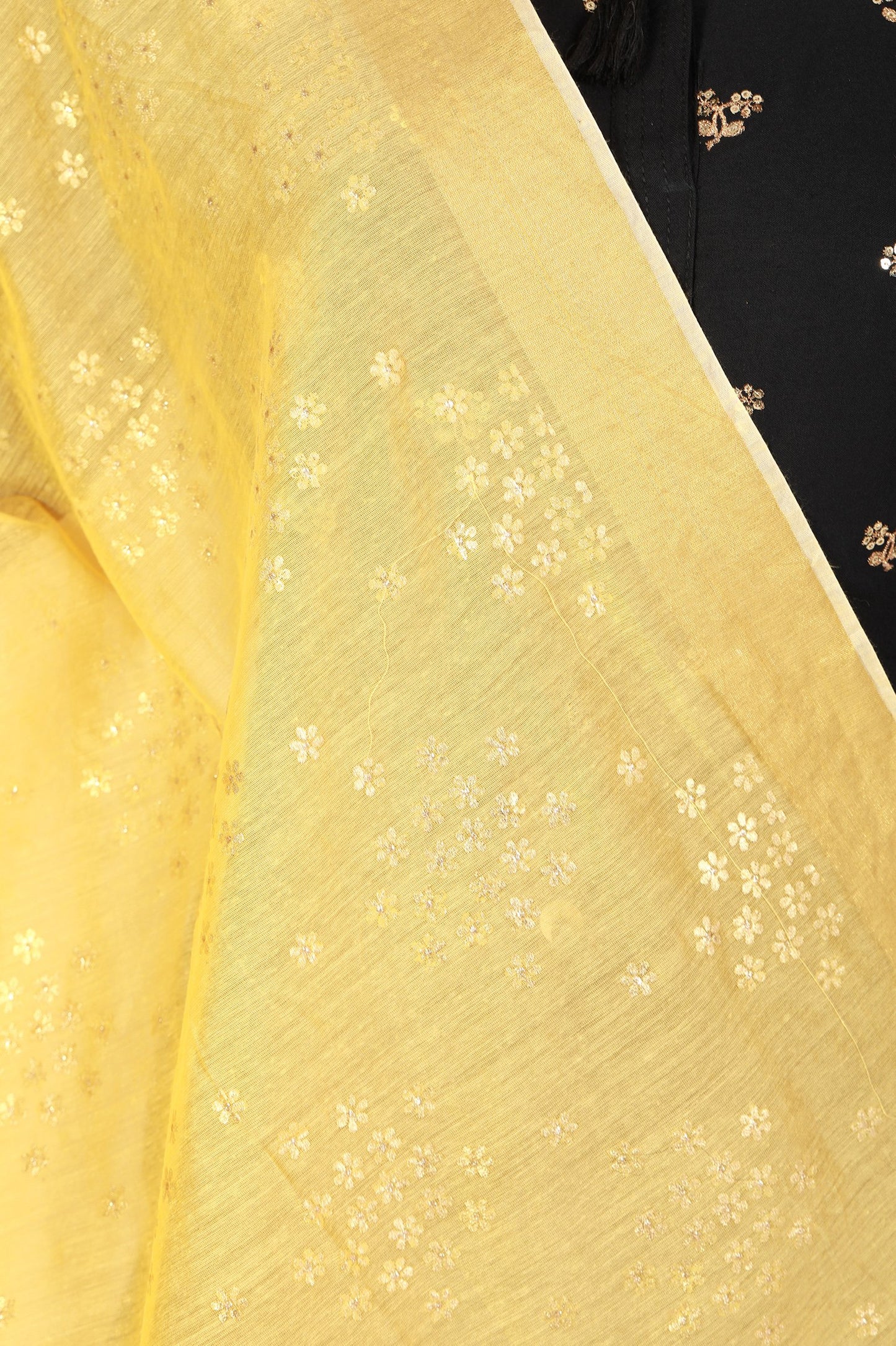 beautiful dupatta