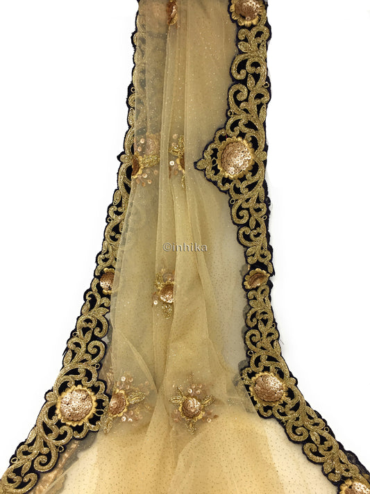 Golden Net Dupatta, Velvet Border n Gold Embroidery