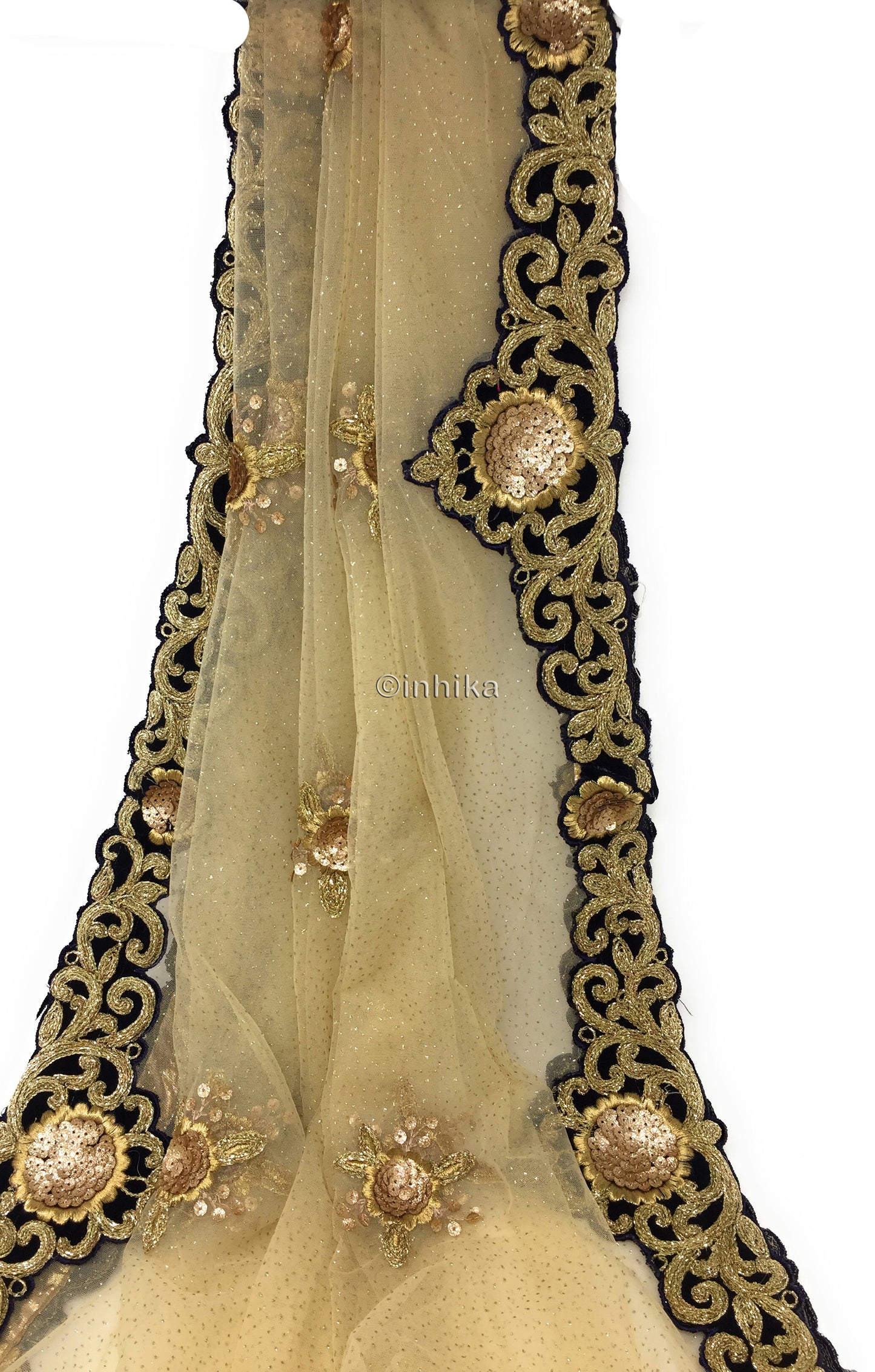 Golden Net Dupatta, Velvet Border n Gold Embroidery