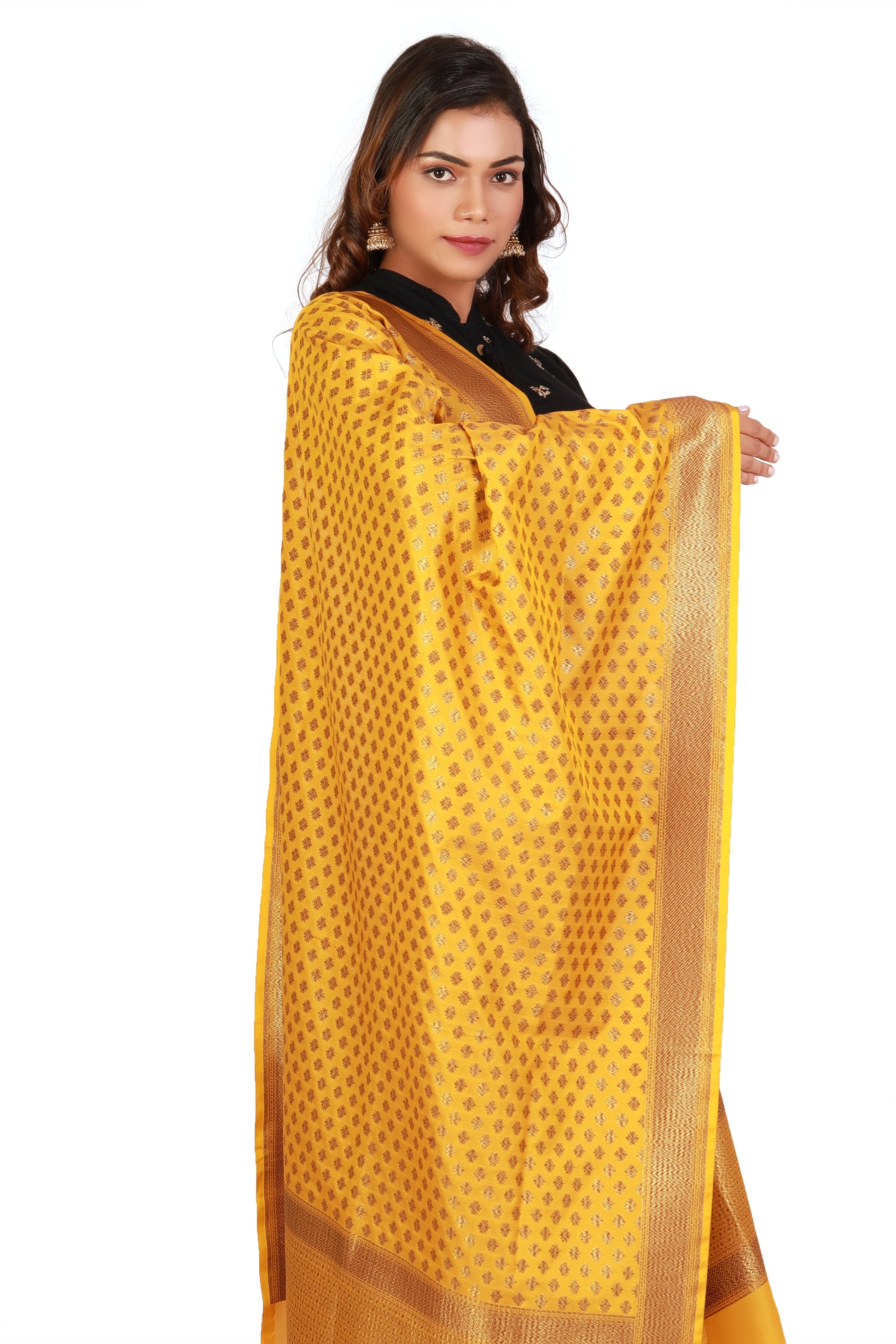 pure silk banarasi dupatta