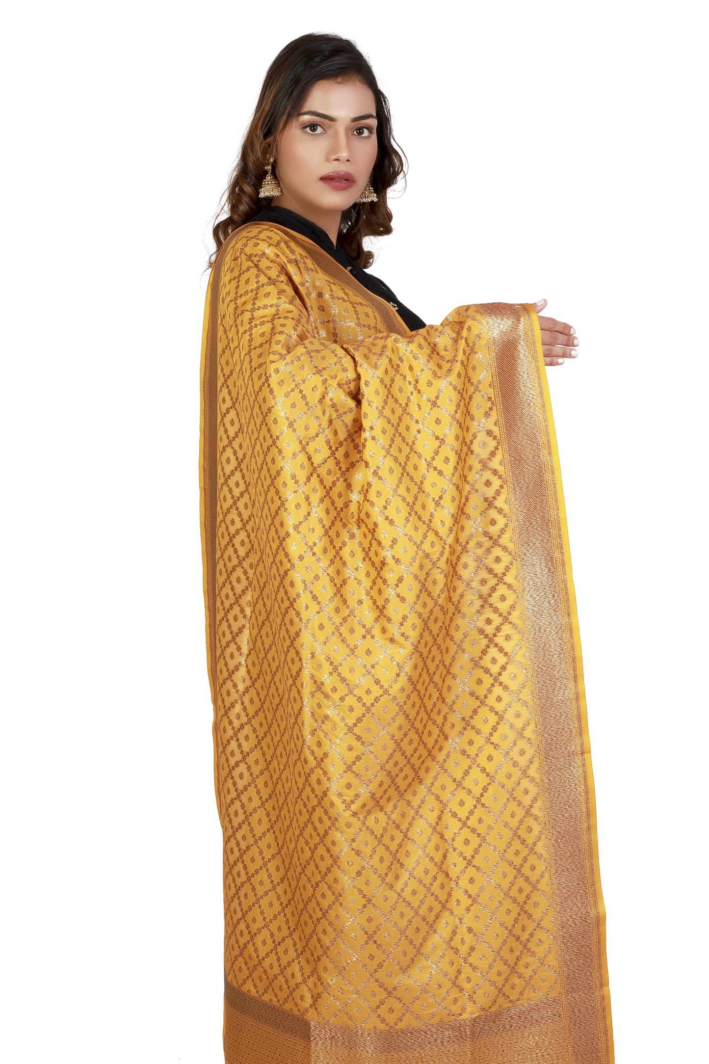 pure silk banarasi dupatta