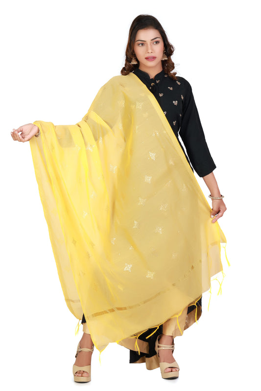 beautiful dupatta